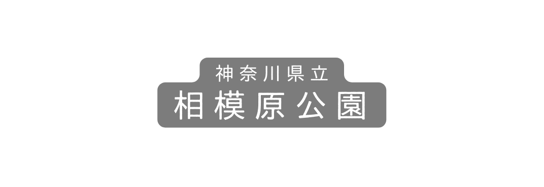 神奈川県立 相模原公園